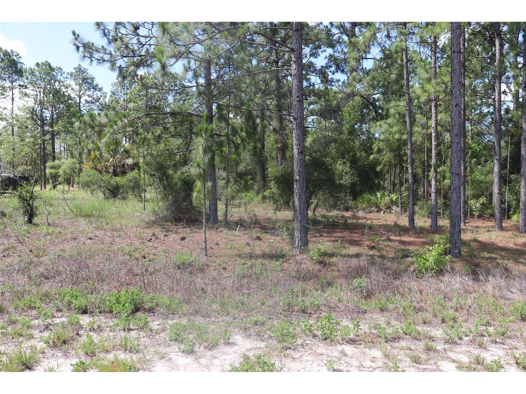 TBD Se 114th Place Dunnellon FL 34431 A4694127 image3