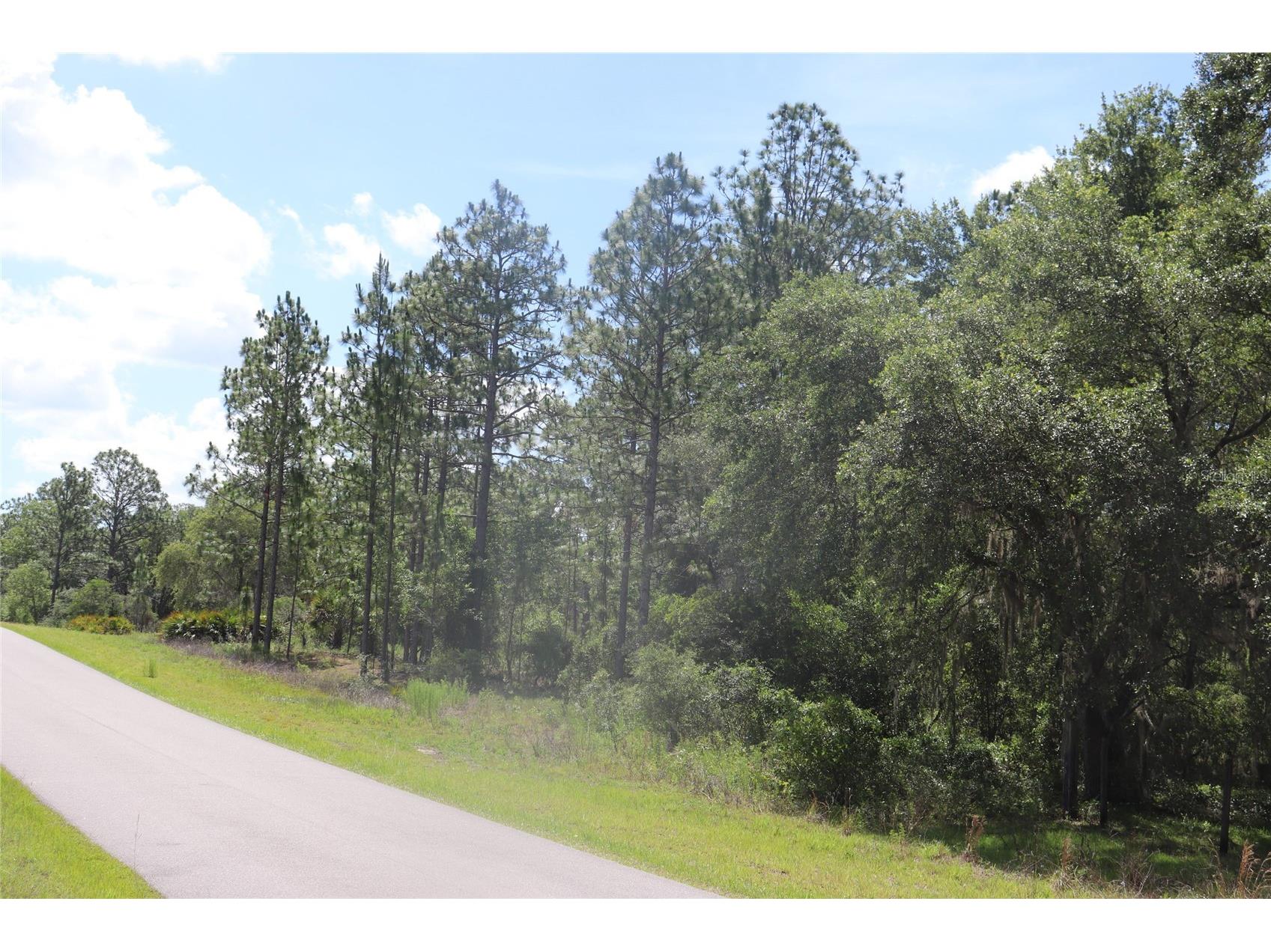 TBD Se 114th Place Dunnellon FL 34431 A4694127 image4