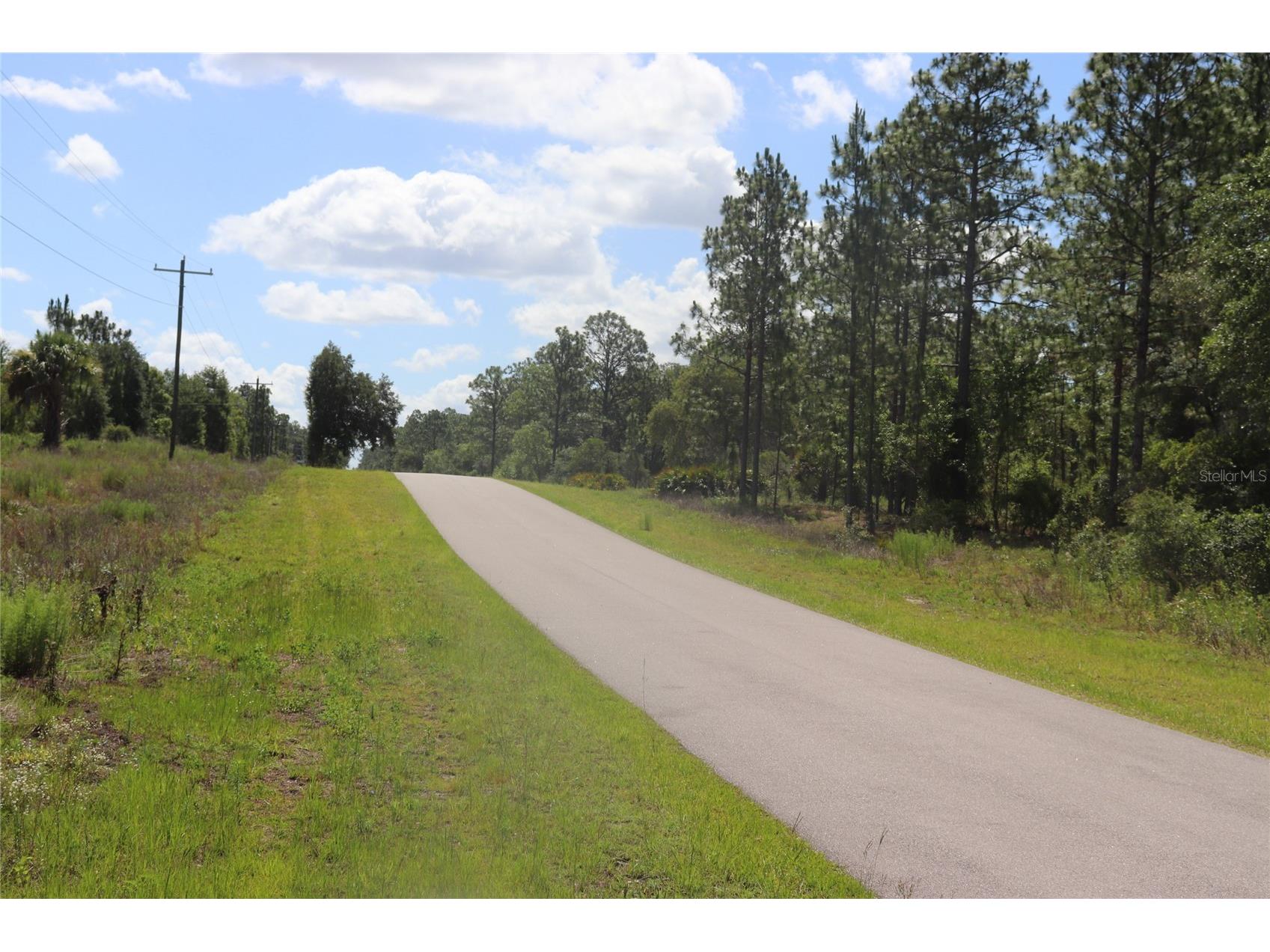 TBD Se 114th Place Dunnellon FL 34431 A4694127 image5