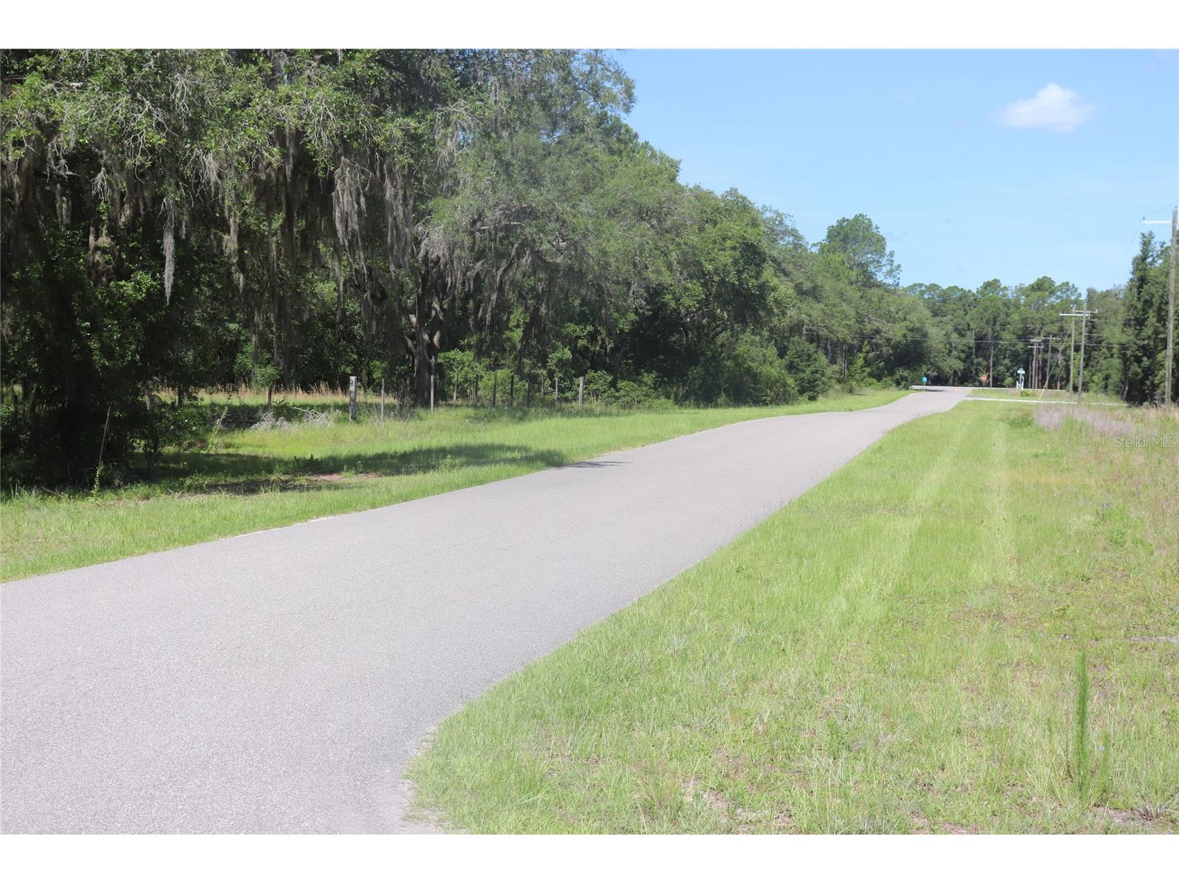 TBD Se 114th Place Dunnellon FL 34431 A4694127 image6