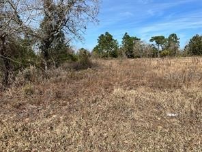 TBD SE 115 Place Road Ocklawaha FL 32179 OM689673 image1