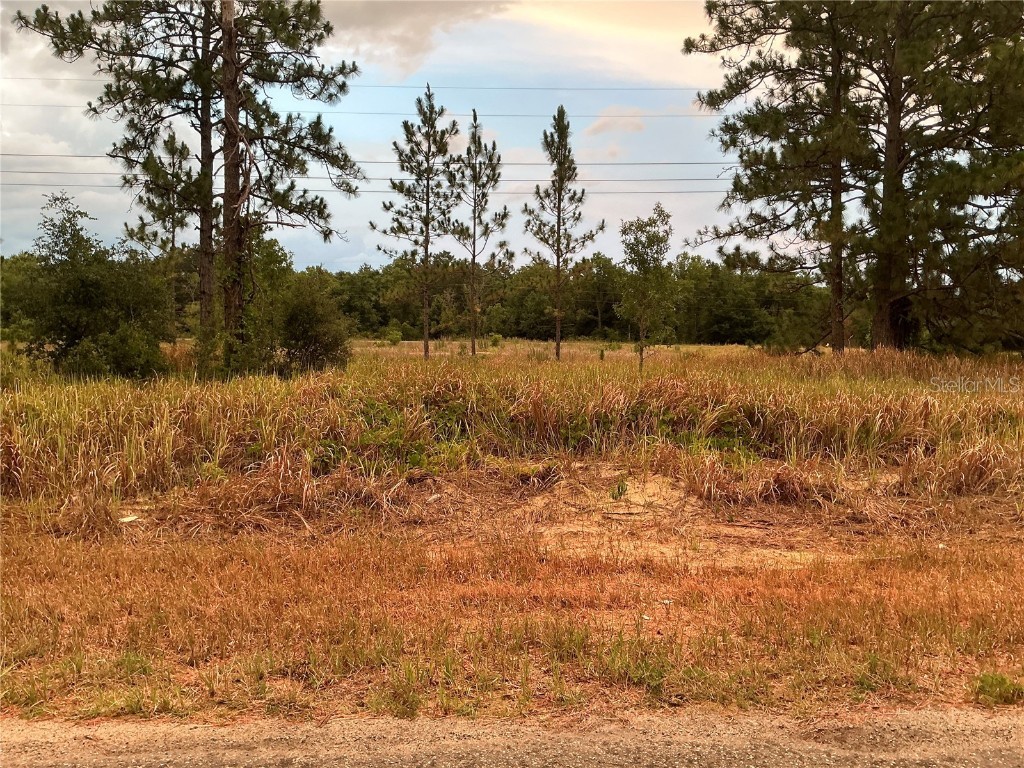 TBD SE 115th Place Road Ocklawaha FL 32179 OM682133 image1