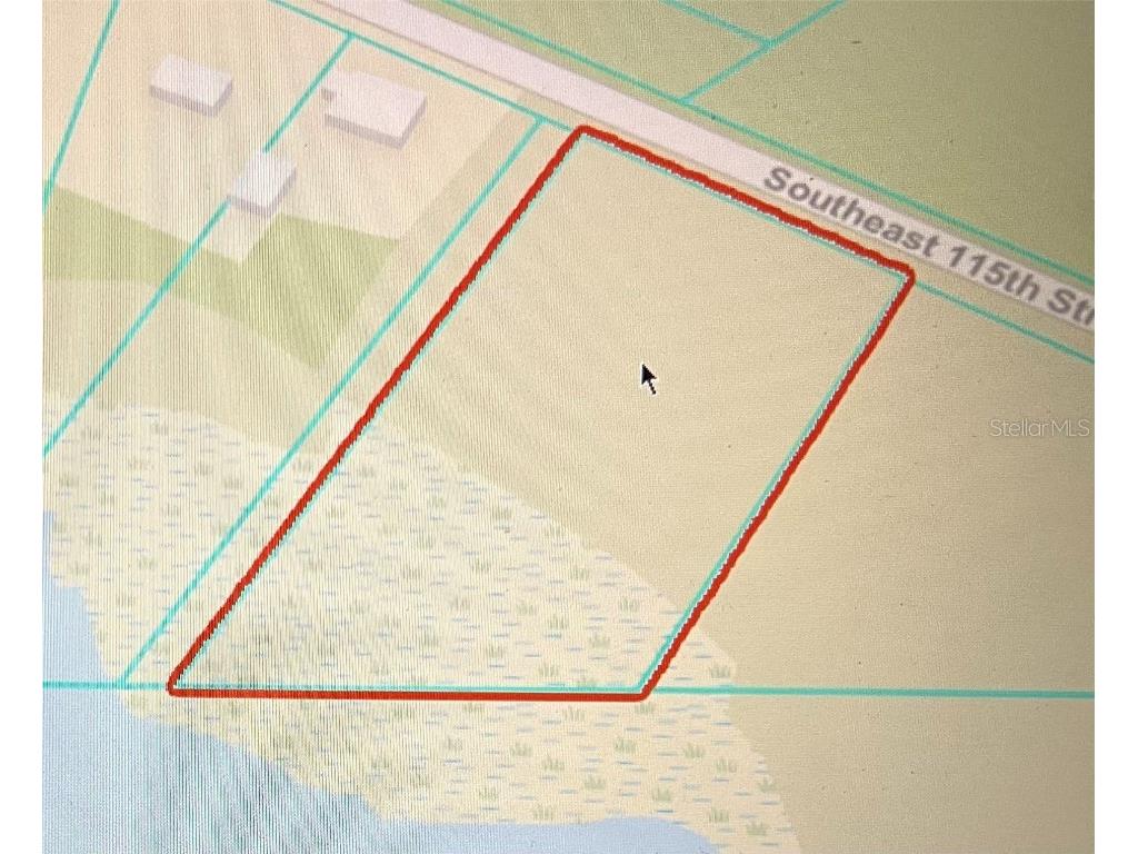 TBD SE 115th Street Ocklawaha FL 32179 OM711986 image1