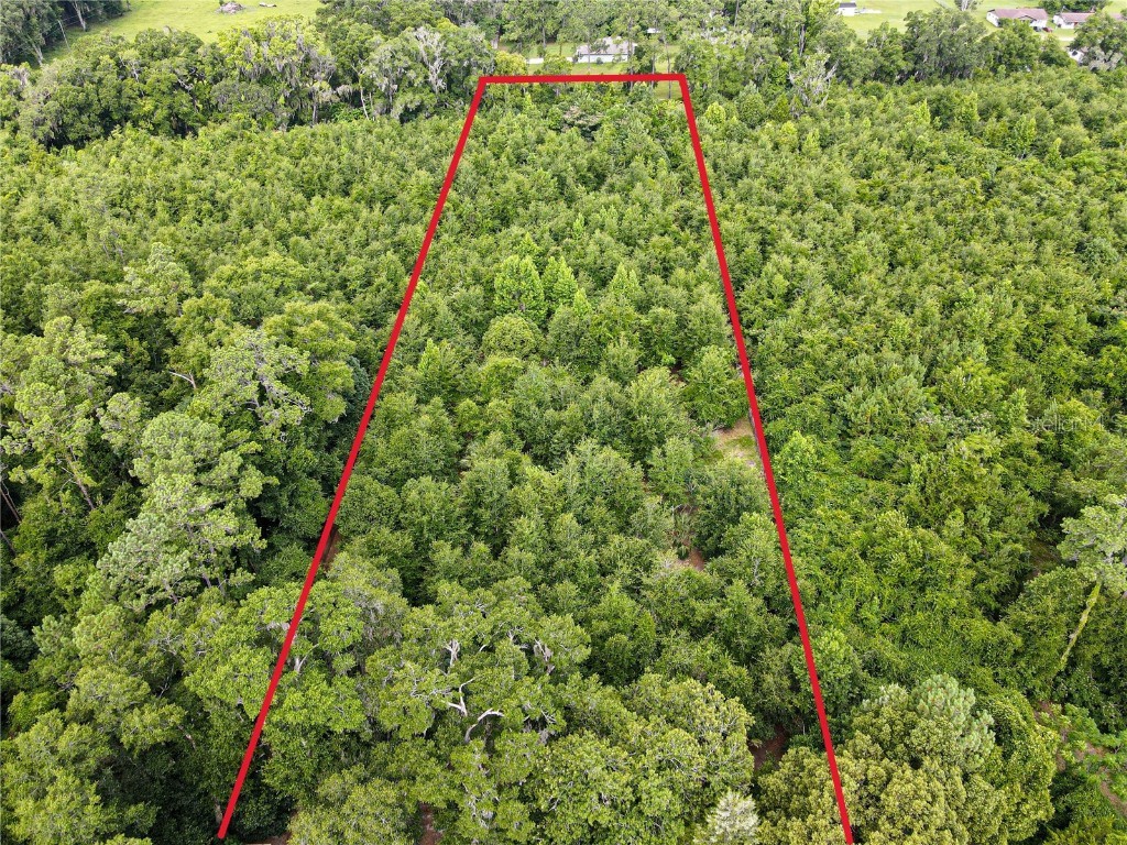TBD SE 122nd Place Belleview FL 34420 OM686821 image1