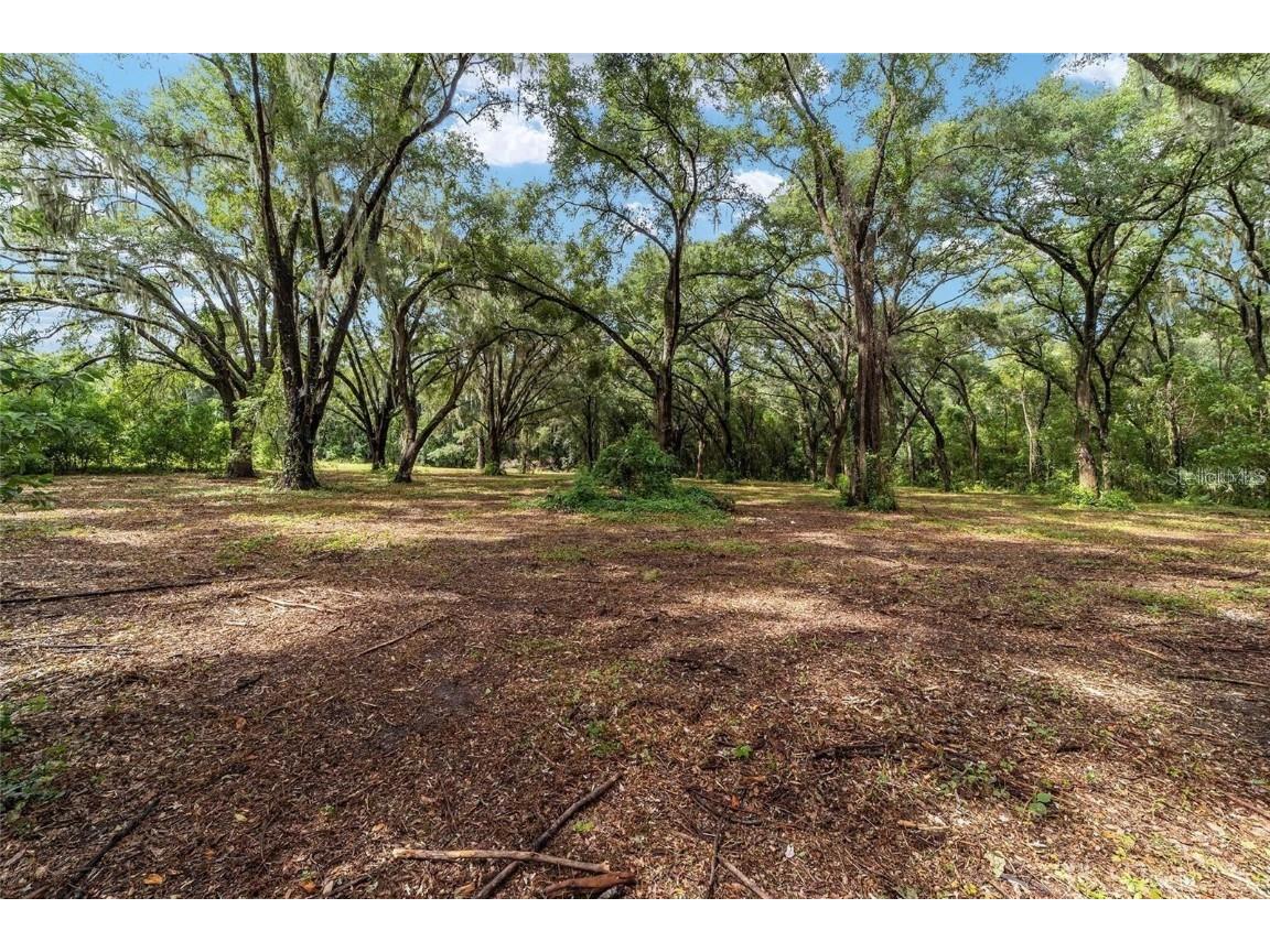 TBD SE 122nd Place Ocklawaha FL 32179 OM710476 image10