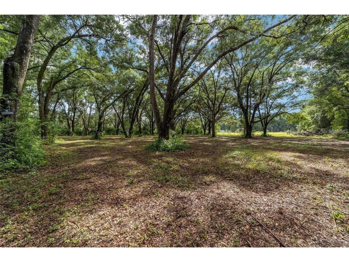 TBD SE 122nd Place Ocklawaha FL 32179 OM710476 image11