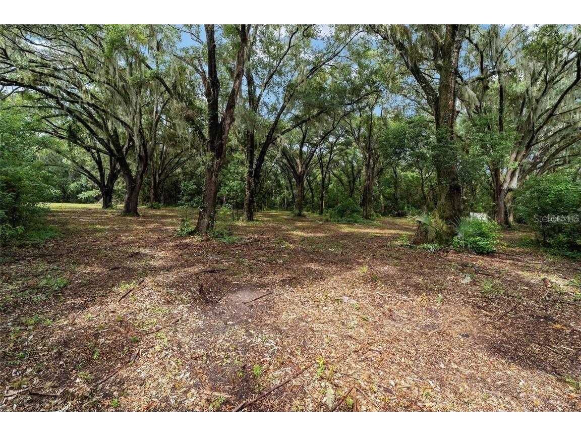 TBD SE 122nd Place Ocklawaha FL 32179 OM710476 image12