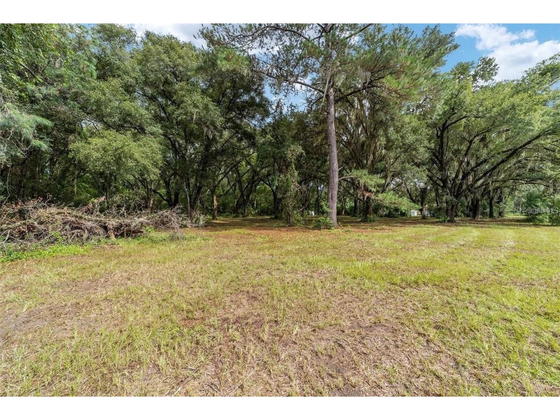 TBD SE 122nd Place Ocklawaha FL 32179 OM710476 image13