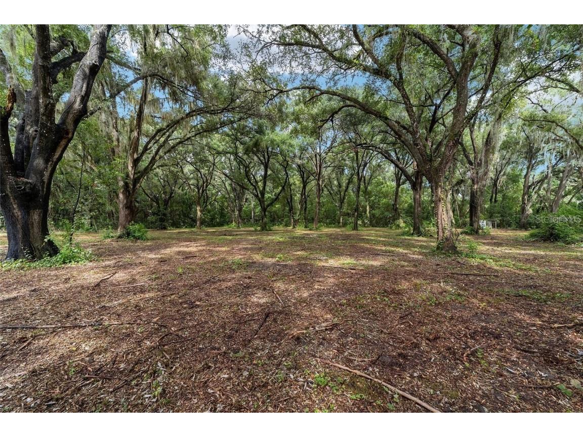 TBD SE 122nd Place Ocklawaha FL 32179 OM710476 image14