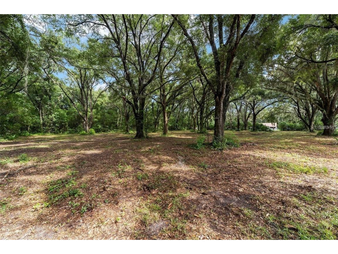 TBD SE 122nd Place Ocklawaha FL 32179 OM710476 image15