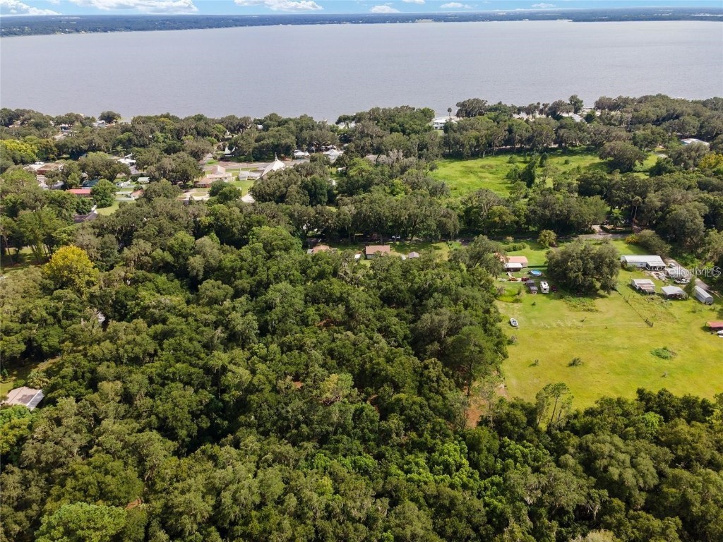 TBD SE 122nd Place Ocklawaha FL 32179 OM710476 image17