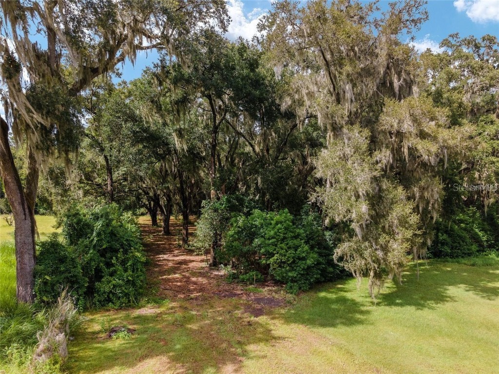 TBD SE 122nd Place Ocklawaha FL 32179 OM710476 image3