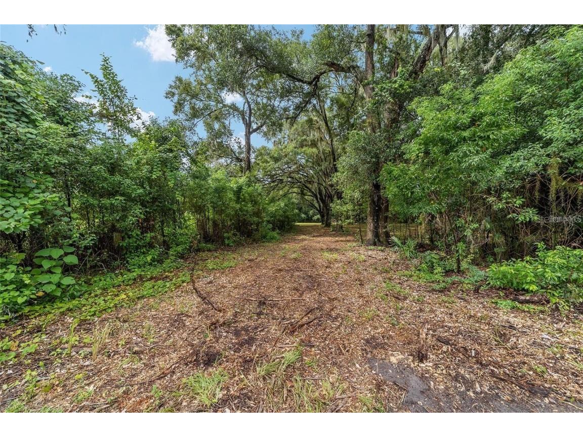 TBD SE 122nd Place Ocklawaha FL 32179 OM710476 image5