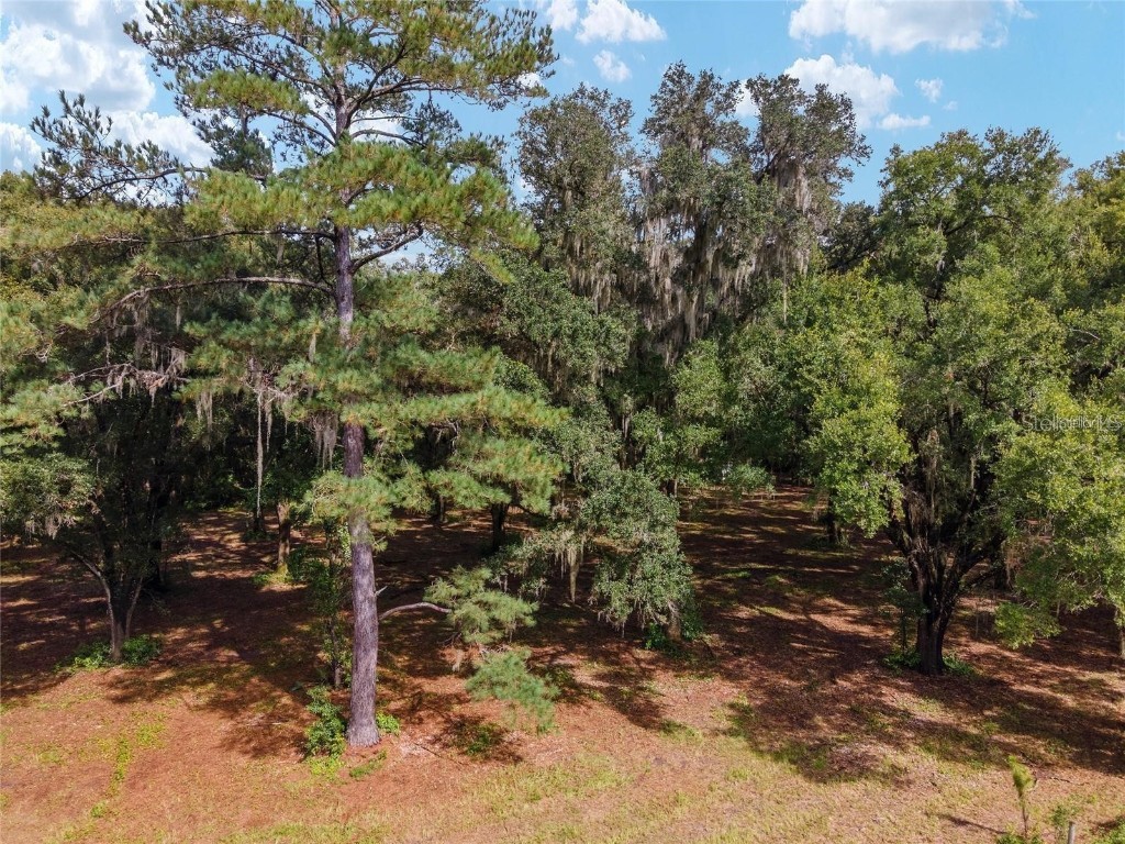TBD SE 122nd Place Ocklawaha FL 32179 OM710476 image7
