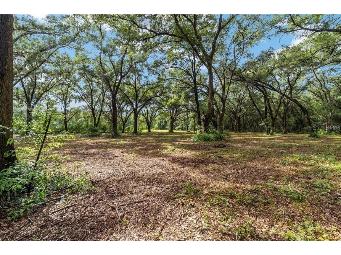 TBD SE 122nd Place Ocklawaha FL 32179 OM710476 image8