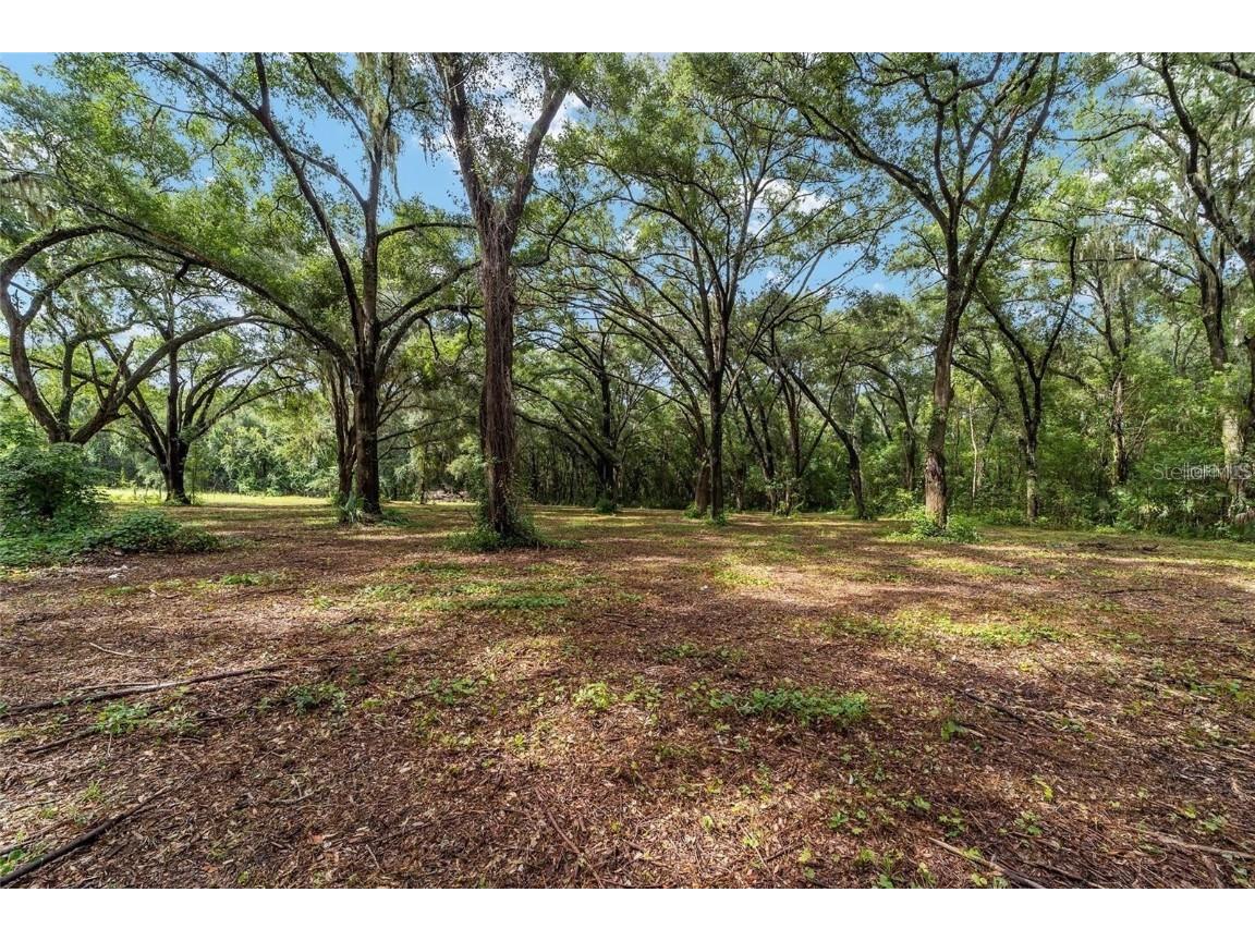 TBD SE 122nd Place Ocklawaha FL 32179 OM710476 image9