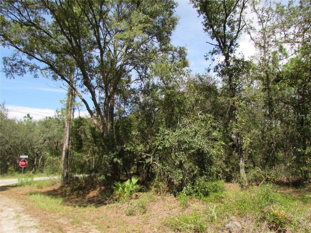 TBD SE 123rd Avenue Dunnellon FL 34431 - LAKE BONABLE TIGER LAKE LITTLE LAKE BONABLE OM667042 image1