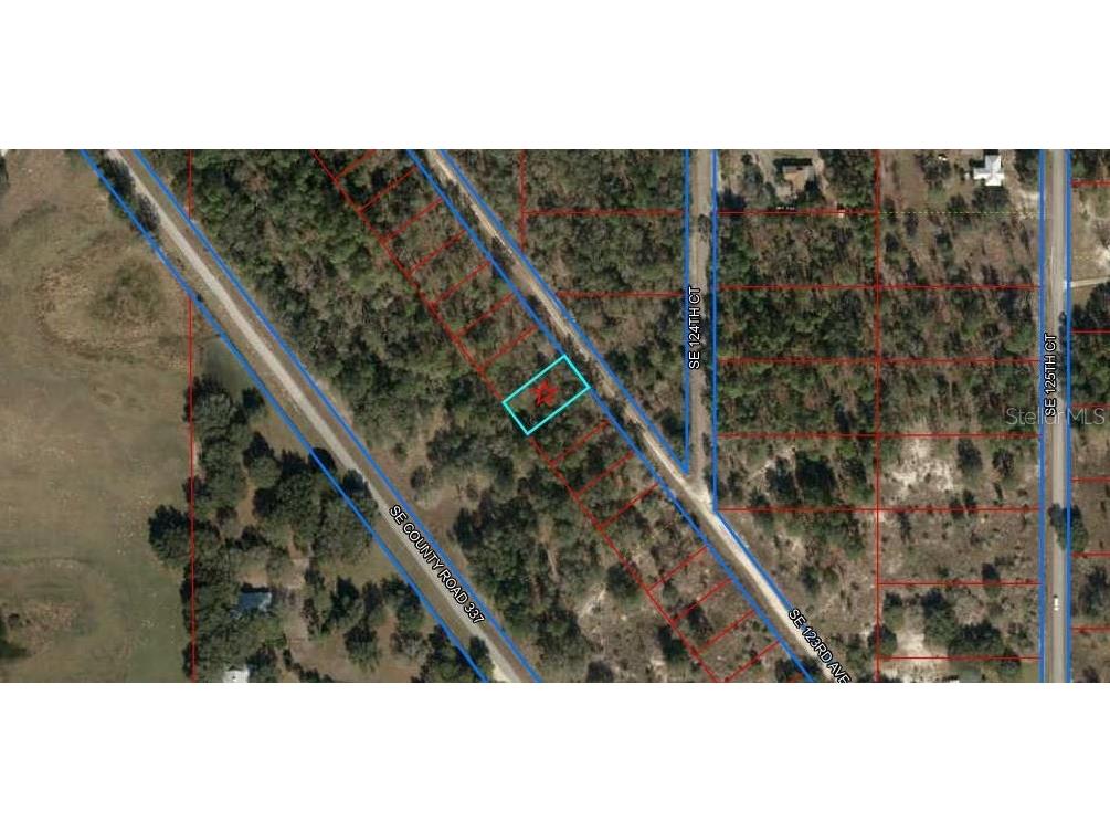 TBD SE 123rd Avenue Dunnellon FL 34431 - LAKE BONABLE TIGER LAKE S5099661 image1