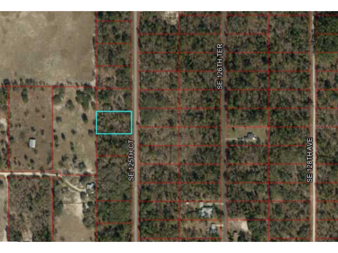 TBD SE 125 Street Dunnellon FL 34431 OM680470 image1