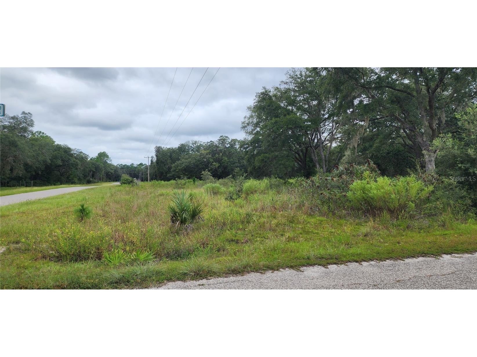 TBD SE 126th Terrace Dunnellon FL 34431 OM665531 image1