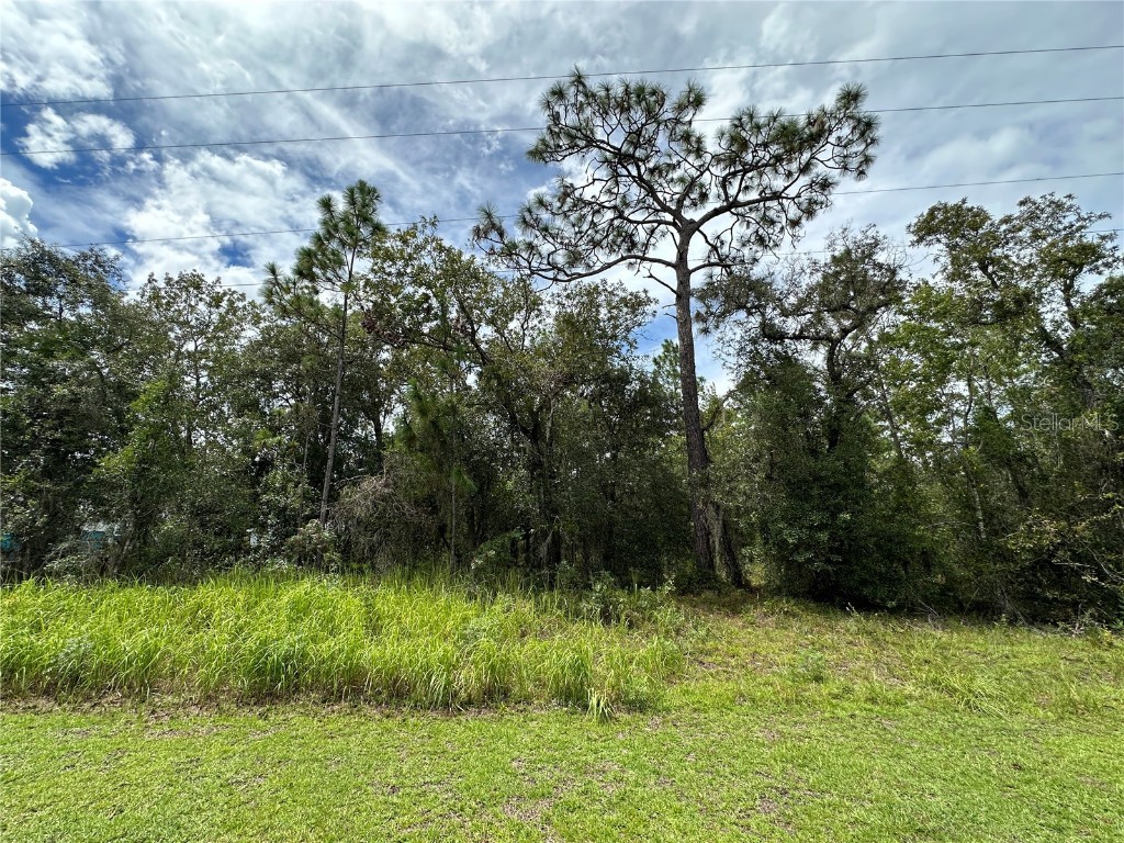 TBD SE 126th Terrace Dunnellon FL 34431 OM709845 image1