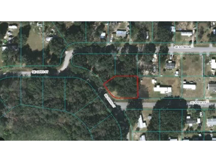 TBD SE 128 Street Belleview FL 34420 OM656042 image1