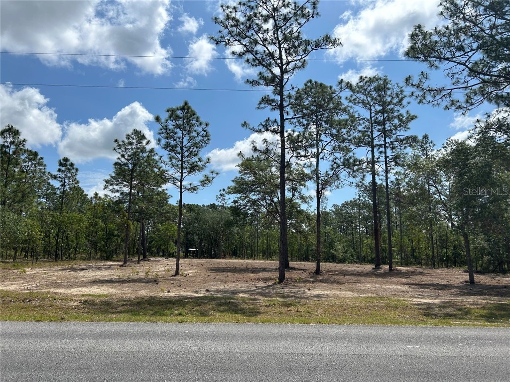 TBD SE 128th Avenue Dunnellon FL 34431 OM678036 image1