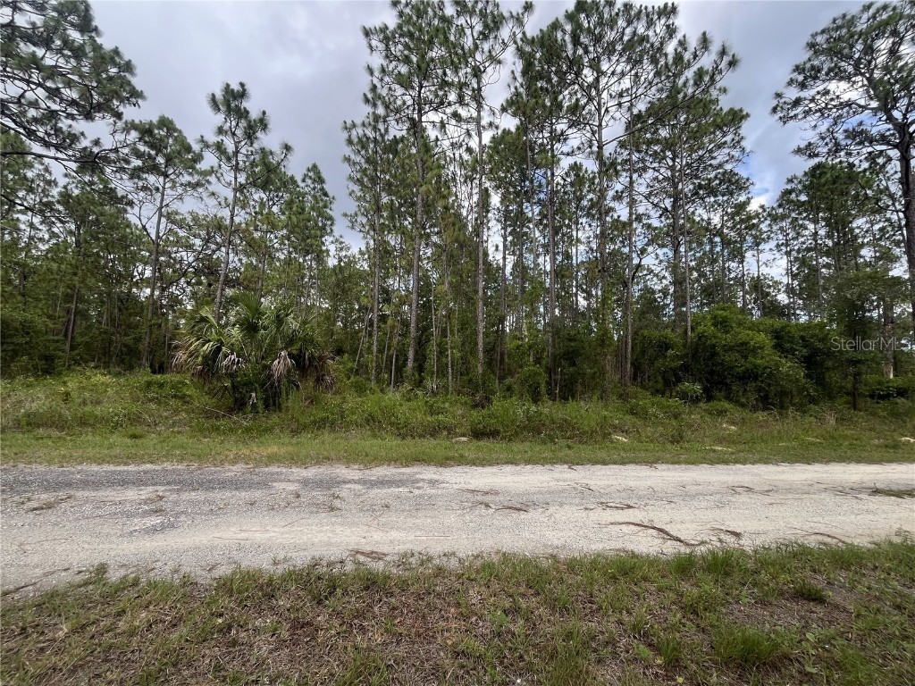 TBD SE 128th Avenue Dunnellon FL 34431 A4660293 image1