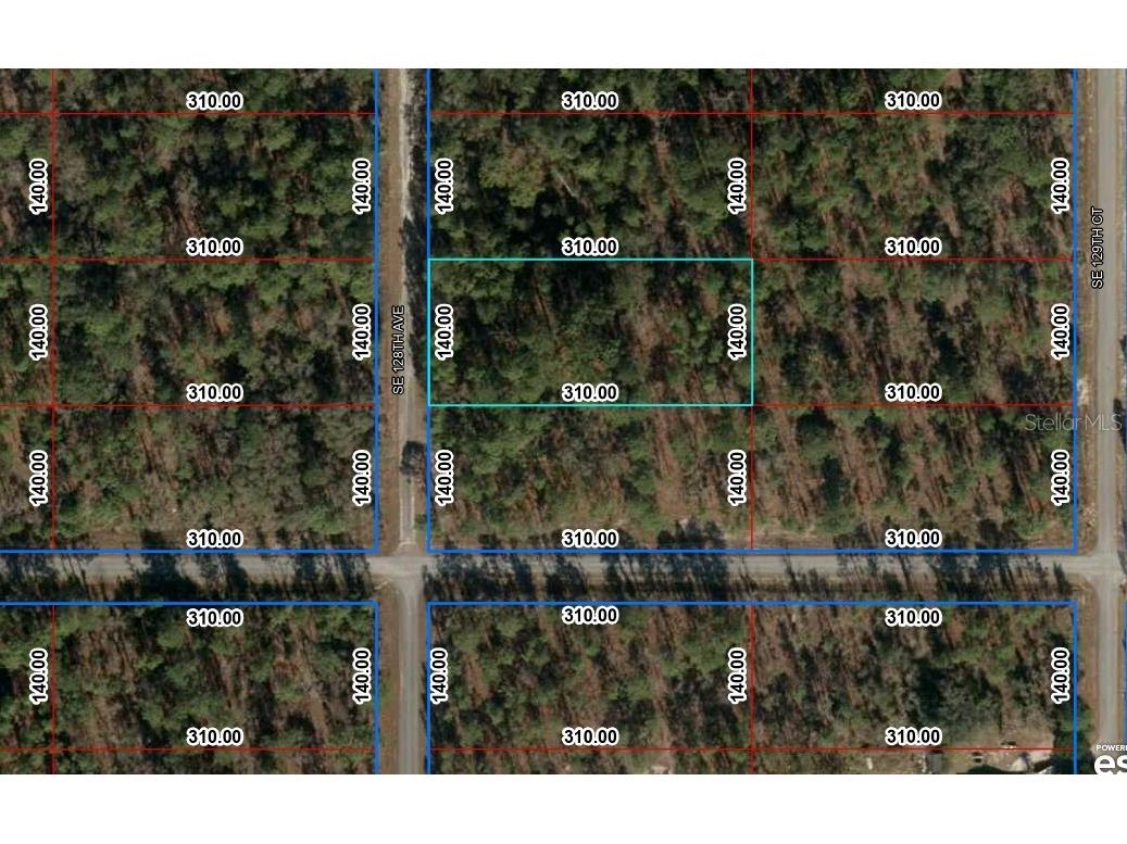 TBD SE 128th Avenue Dunnellon FL 34431 C7505148 image1