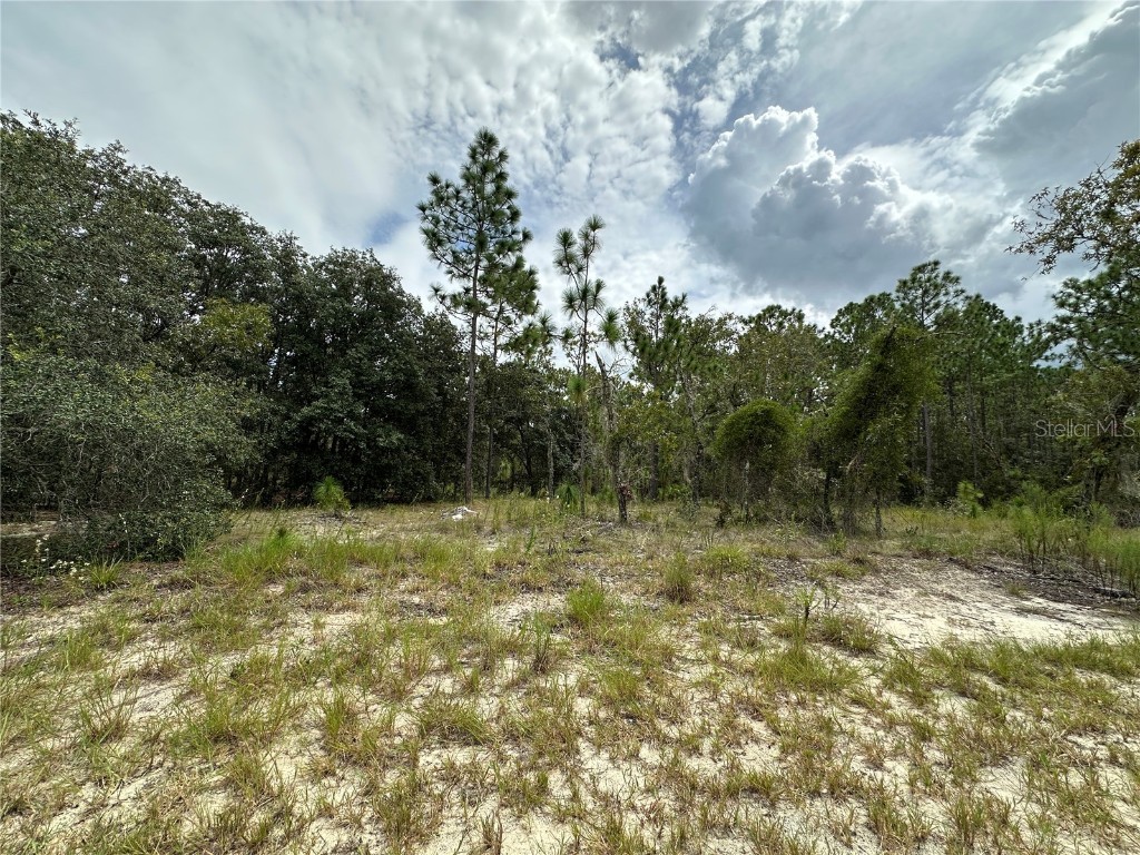 TBD SE 128th Avenue Dunnellon FL 34431 OM709853 image1