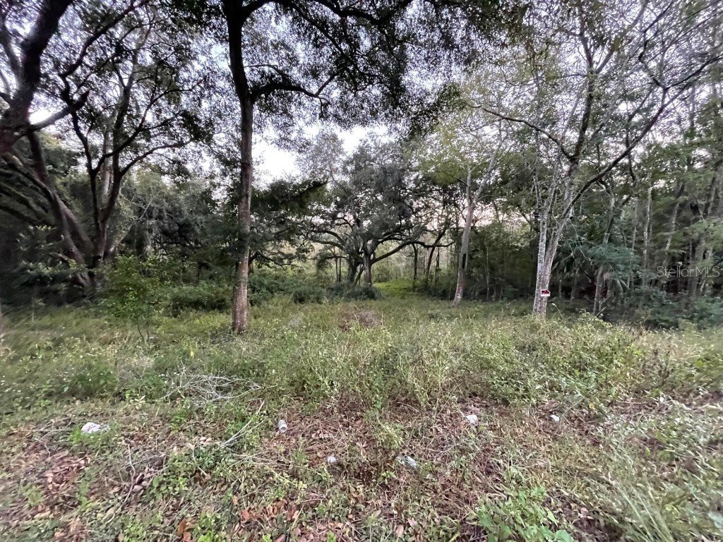 TBD SE 128th Street Belleview FL 34420 OM688402 image1