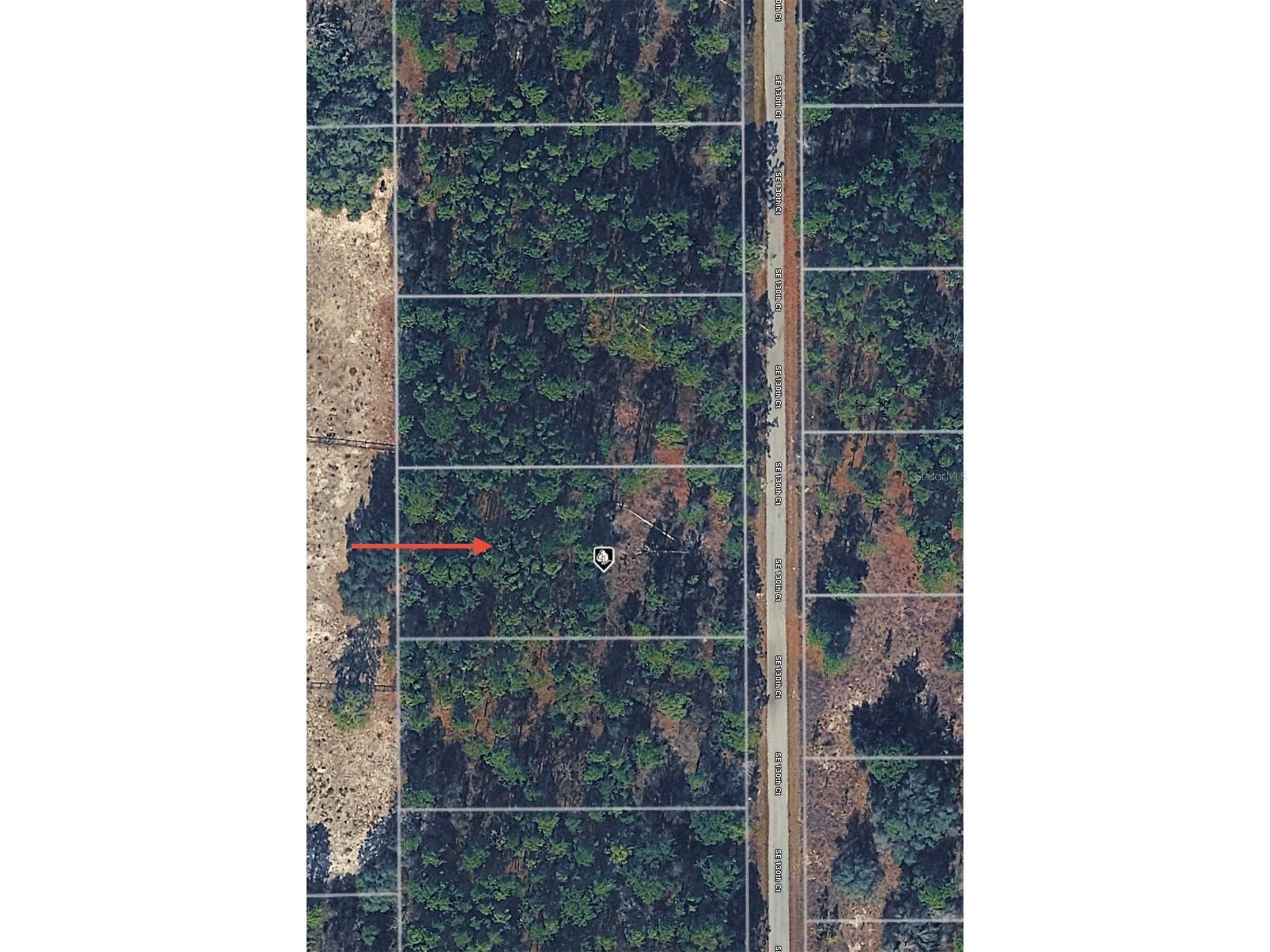 TBD Se 130th Court Dunnellon FL 34431 O6375025 image1
