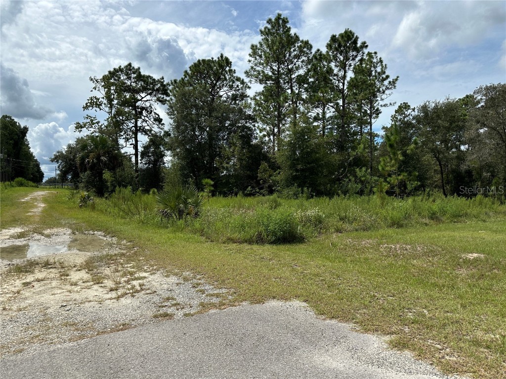 TBD SE 130th Court Dunnellon FL 34431 OM709873 image1