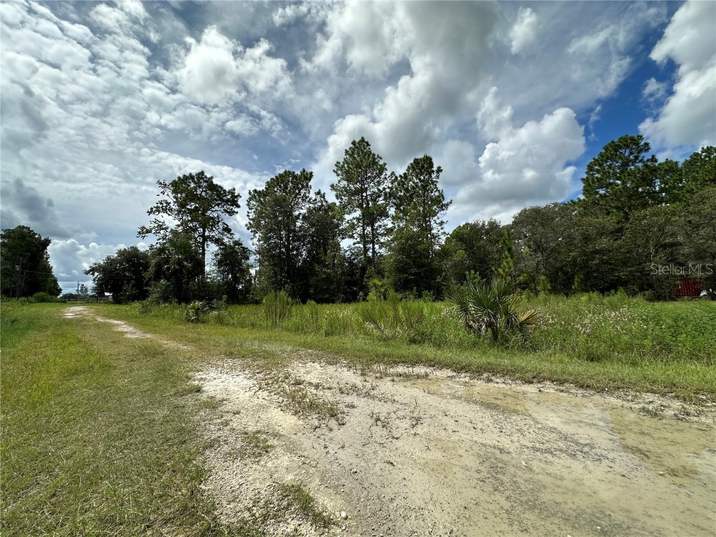 TBD SE 130th Court Dunnellon FL 34431 OM709873 image2