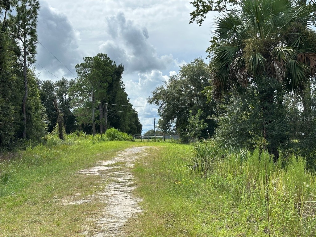 TBD SE 130th Court Dunnellon FL 34431 OM709873 image4