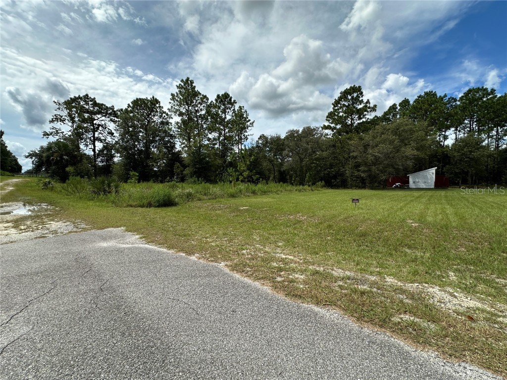TBD SE 130th Court Dunnellon FL 34431 OM709873 image6