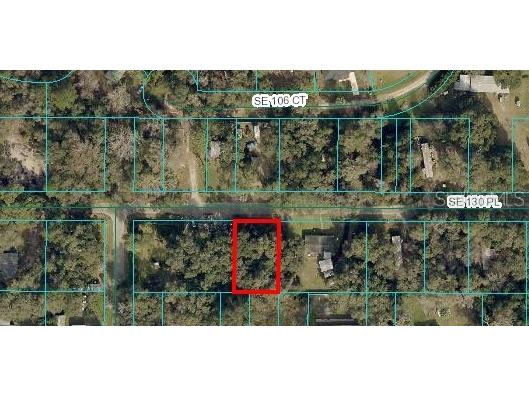 TBD SE 130th Place Ocklawaha FL 32179 - LITTLE LAKE WEIR OM680035 image2