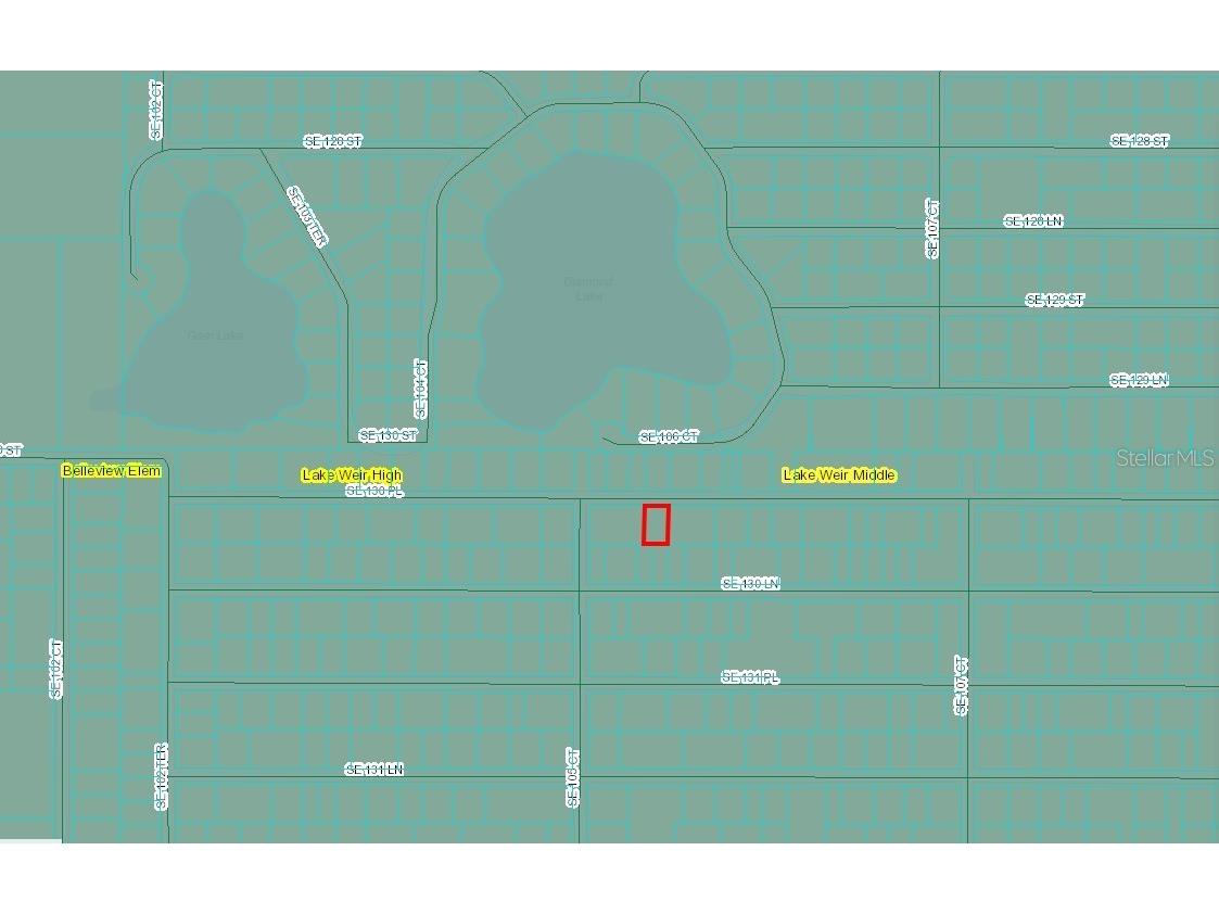 TBD SE 130th Place Ocklawaha FL 32179 - LITTLE LAKE WEIR OM680035 image3