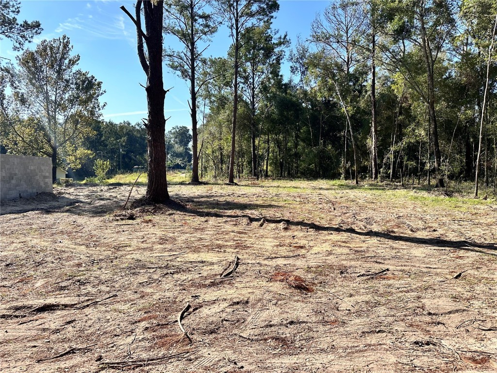 TBD SE 131st Lane Belleview FL 34420 OM688484 image1