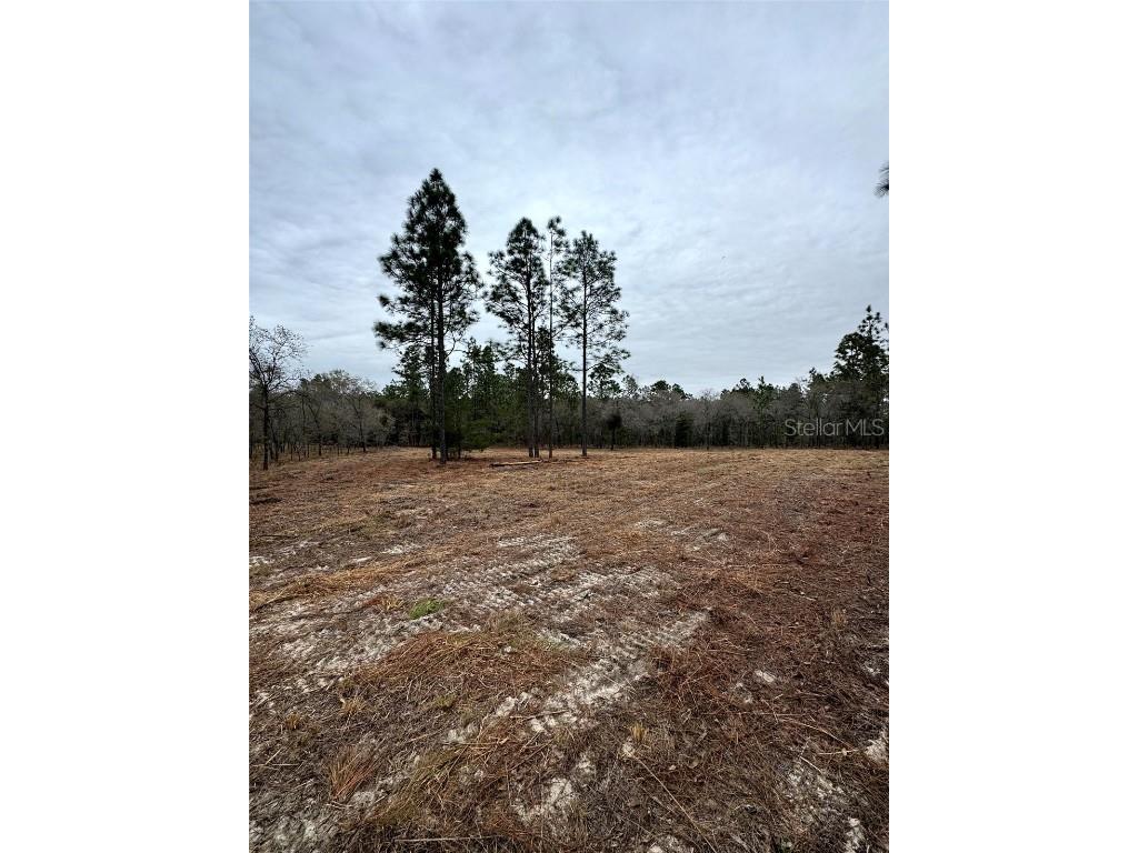 TBD SE 133rd Terrace Morriston FL 32668 OM693268 image1