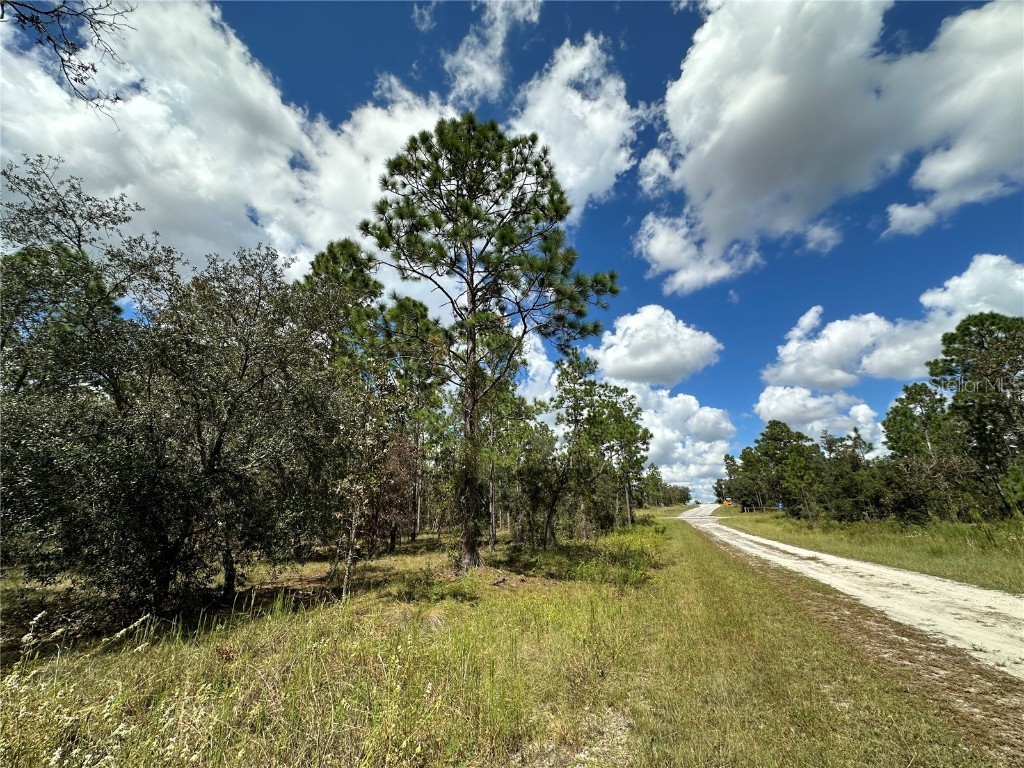 TBD SE 134th Court Dunnellon FL 34431 OM712041 image1