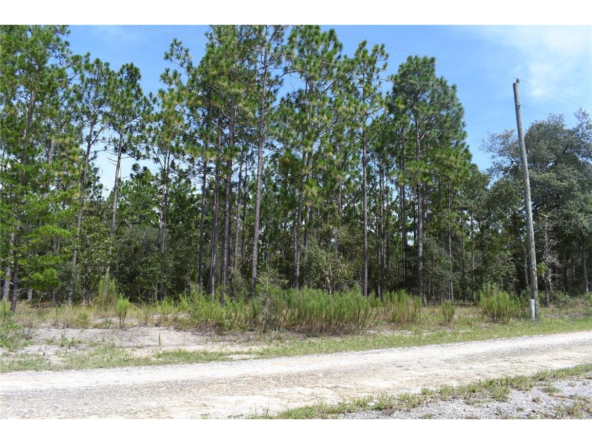 TBD SE 136th Avenue Dunnellon FL 34431 GC535079 image1