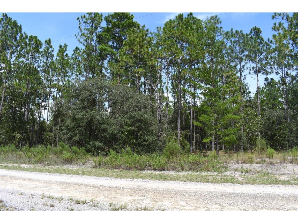 TBD SE 136th Avenue Dunnellon FL 34431 GC535079 image3