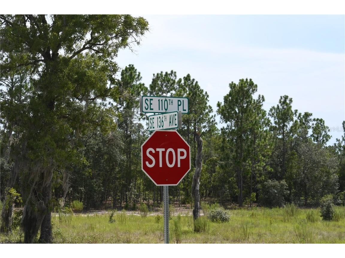 TBD SE 136th Avenue Dunnellon FL 34431 GC535079 image4
