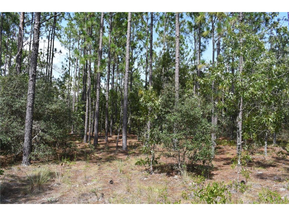 TBD SE 136th Avenue Dunnellon FL 34431 GC535079 image6