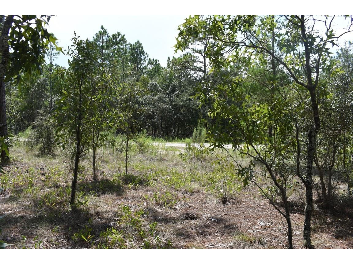 TBD SE 136th Avenue Dunnellon FL 34431 GC535079 image8