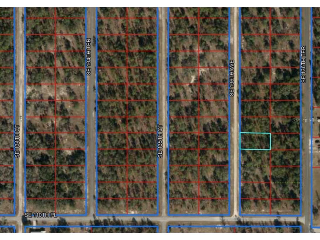TBD SE 136th Avenue Dunnellon FL 34431 GC535079 image9