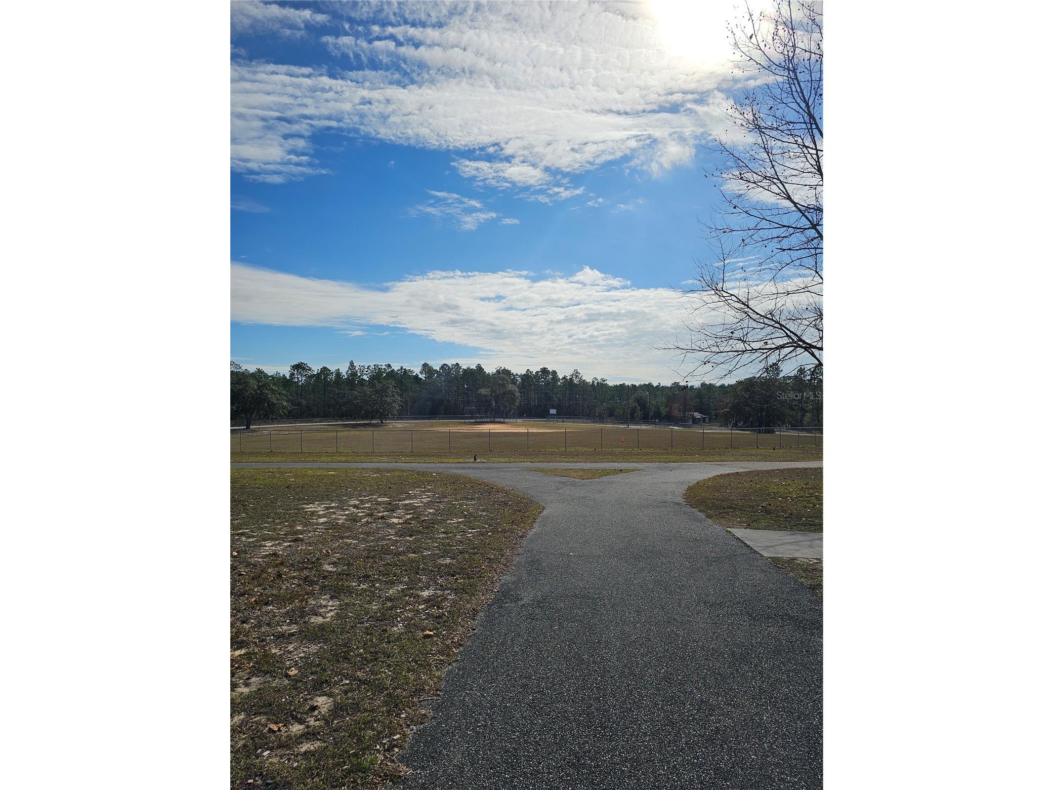 TBD SE 136th Terrace Dunnellon FL 34431 OM715673 image15