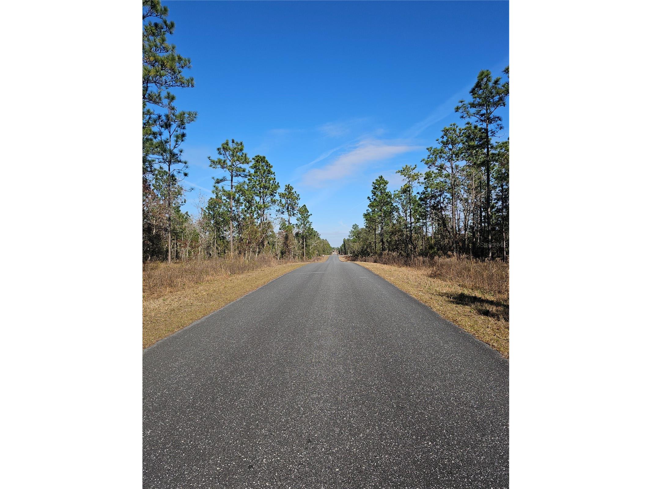 TBD SE 136th Terrace Dunnellon FL 34431 OM715673 image2