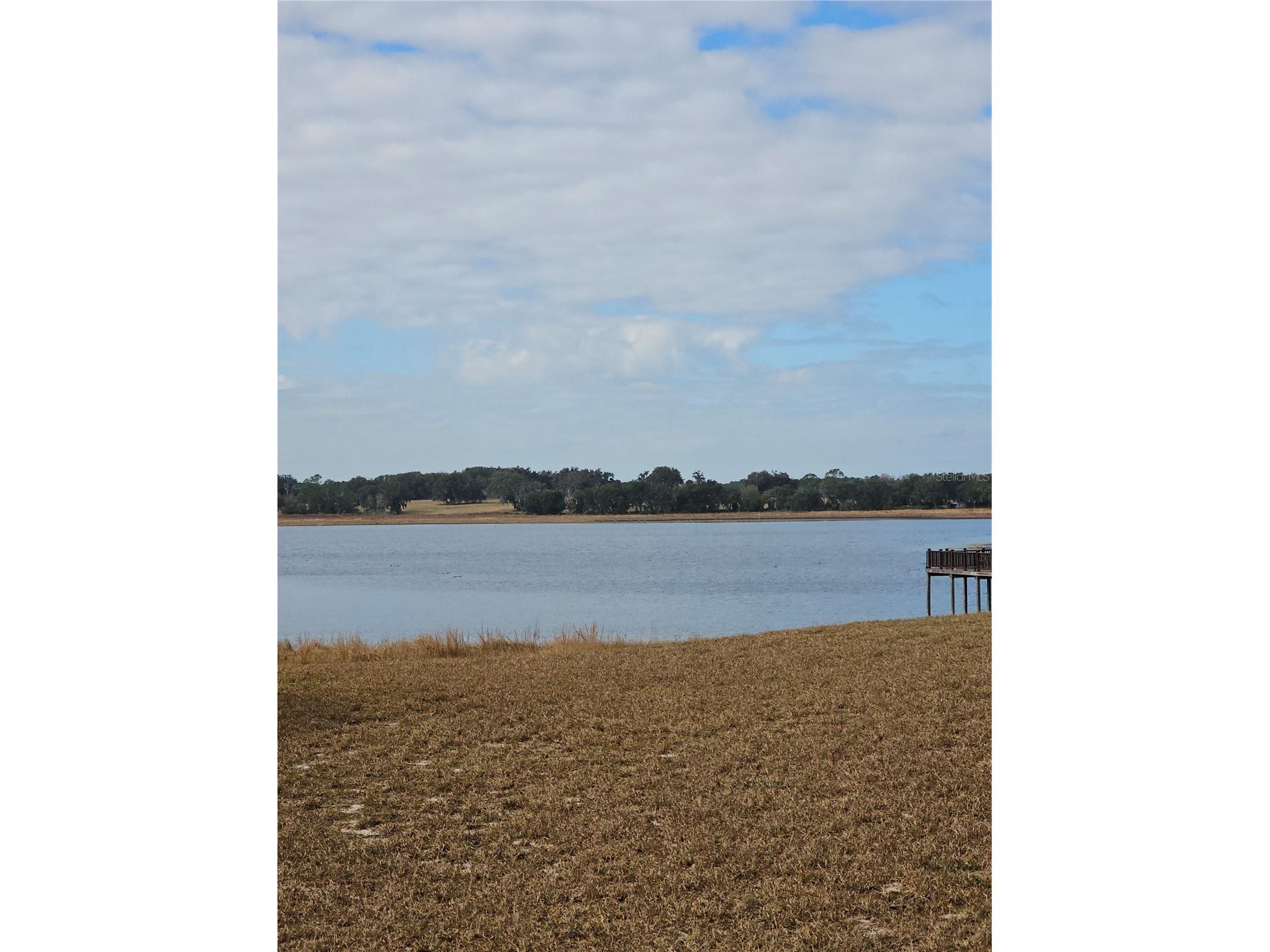 TBD SE 136th Terrace Dunnellon FL 34431 OM715673 image3